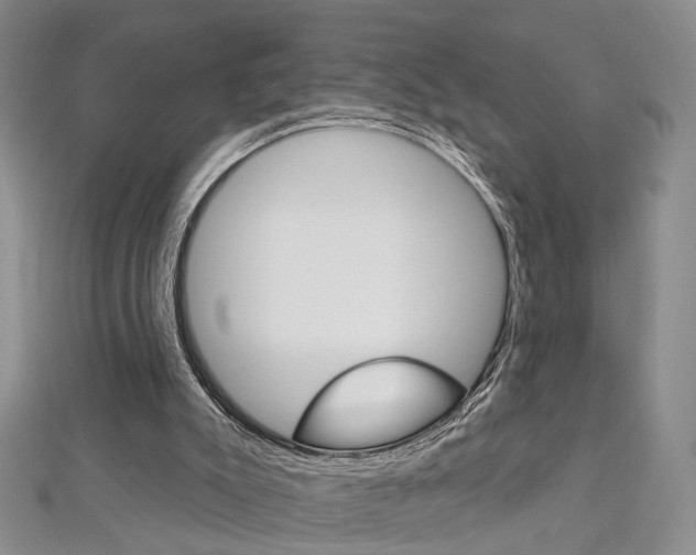X0000113160007200909041002