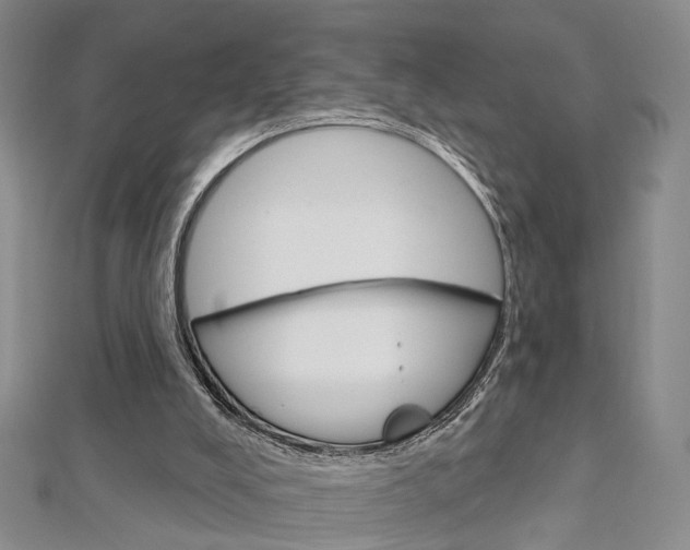 X0000113160008200909041002