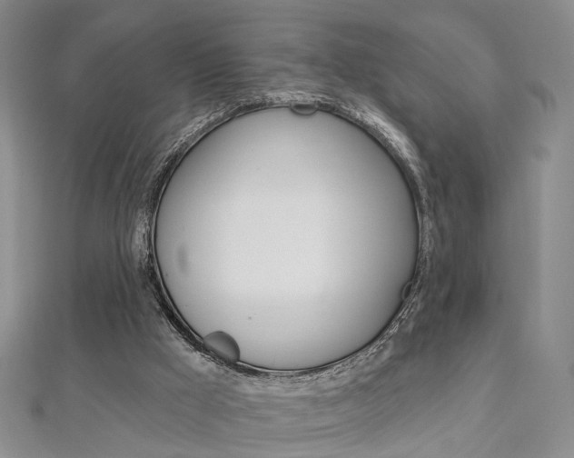 X0000113160009200909041002