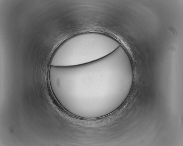X0000113160010200909041002
