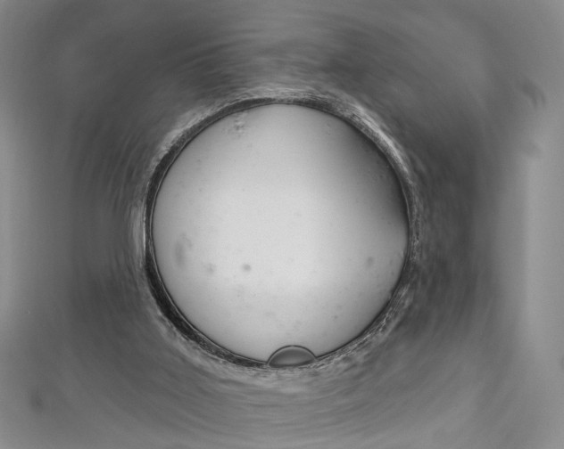 X0000113160011200909041002