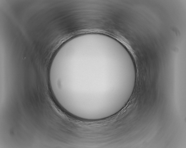 X0000113160013200909041002
