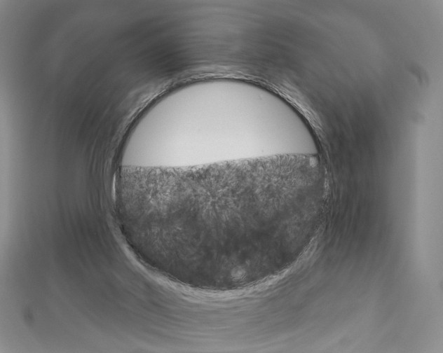 X0000113160014200909041002