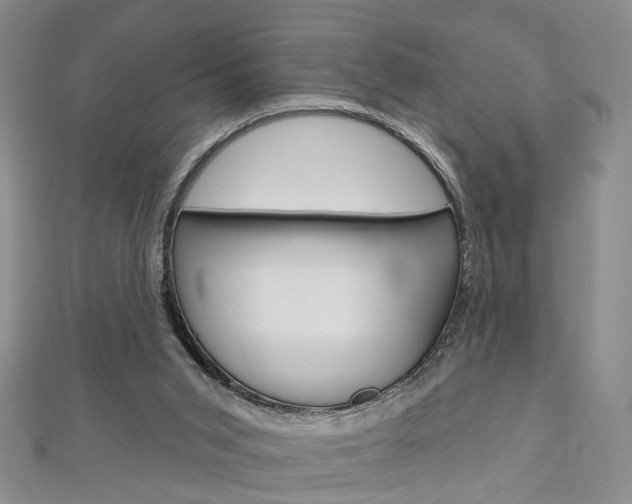 X0000113160015200909041002