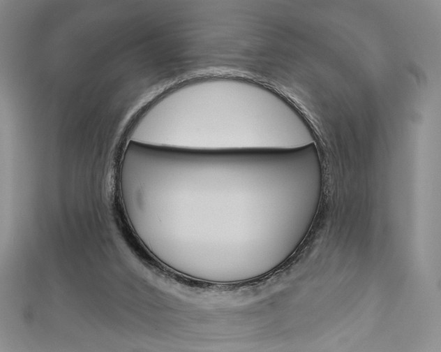 X0000113160016200909041002
