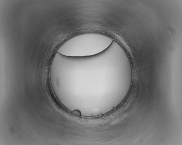 X0000113160018200909041002