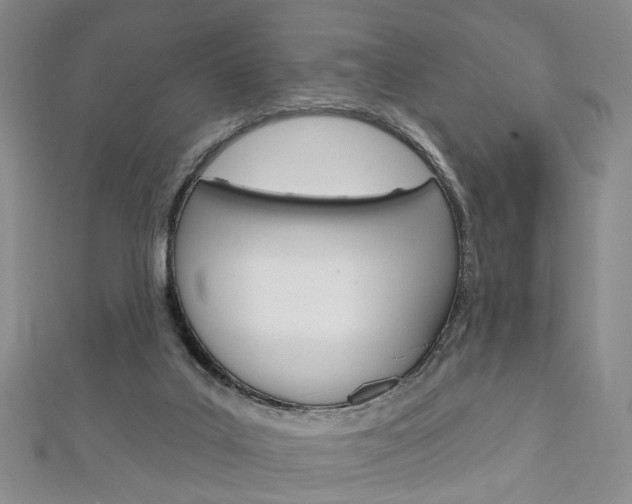 X0000113160019200909041002