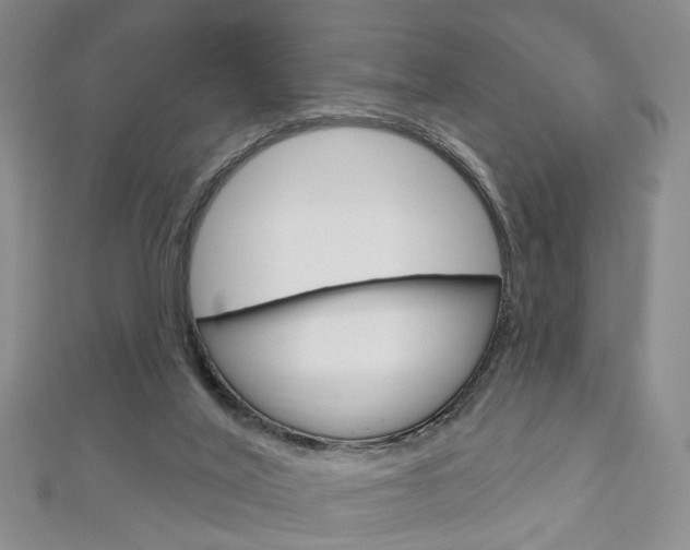 X0000113160020200909041002