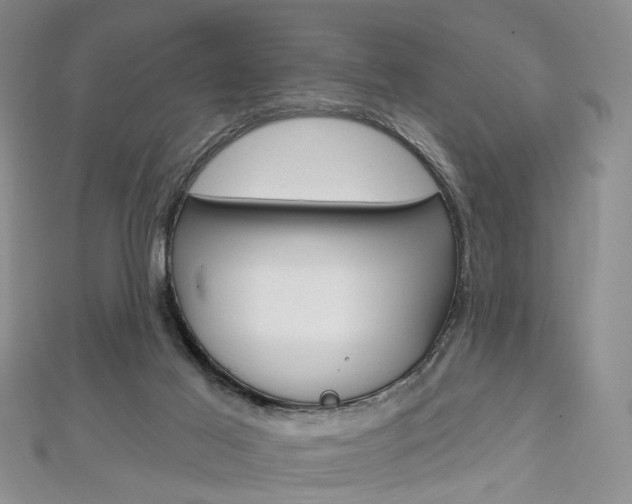 X0000113160021200909041002