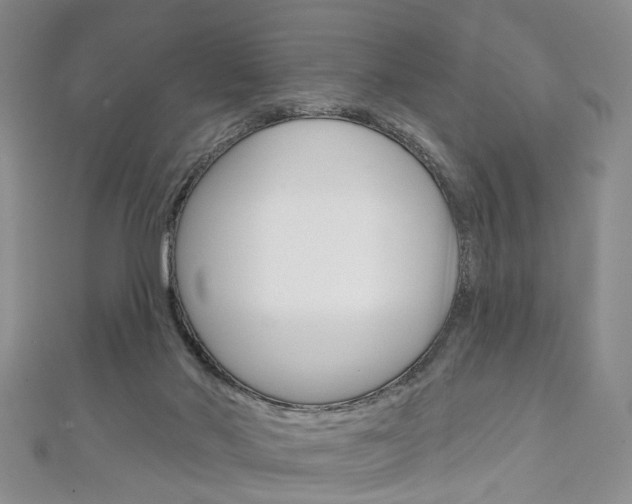 X0000113160022200909041002