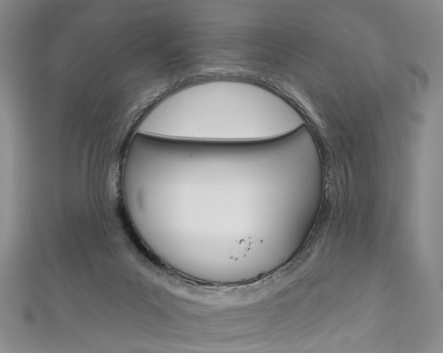X0000113160023200909041002
