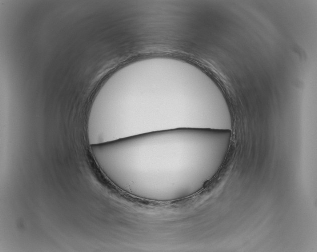 X0000113160024200909041002