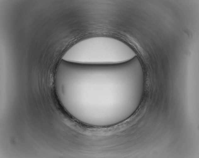 X0000113160025200909041002