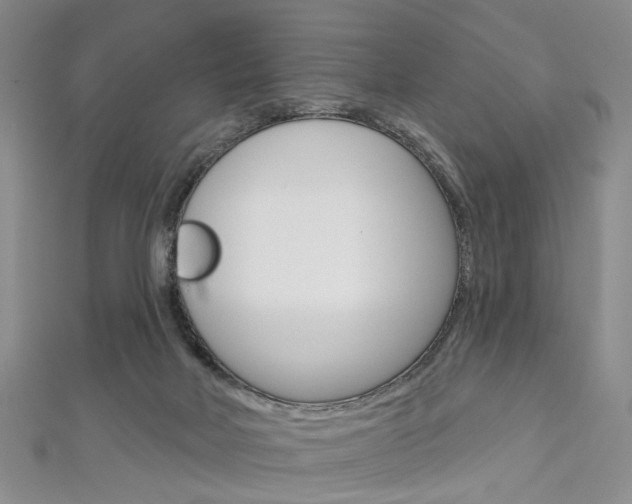 X0000113160026200909041002