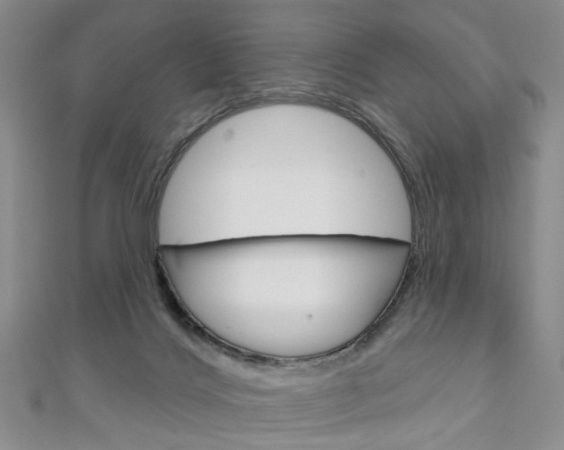 X0000113160028200909041002