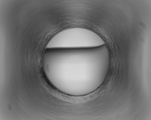 X0000113160031200909041002