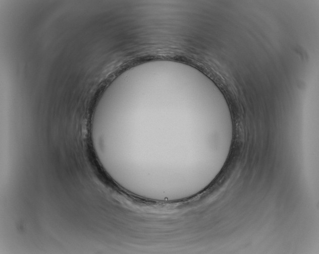 X0000113160032200909041002