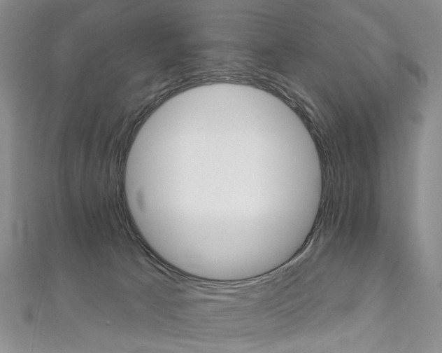 X0000113160033200909041002