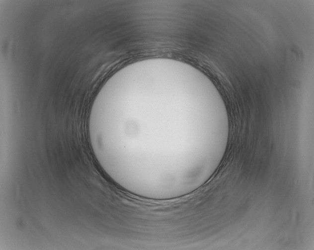 X0000113160035200909041002