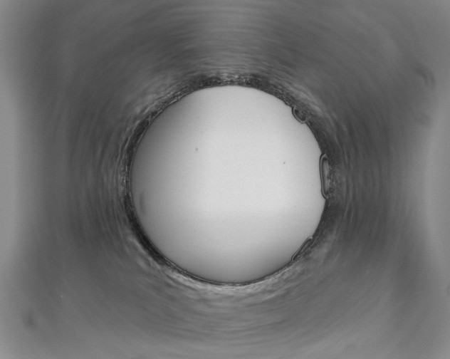 X0000113160039200909041002