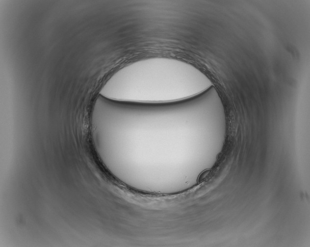 X0000113160040200909041002