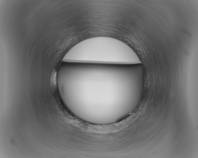 X0000113160041200909041002