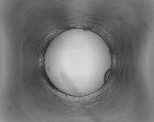 X0000113160043200909041002