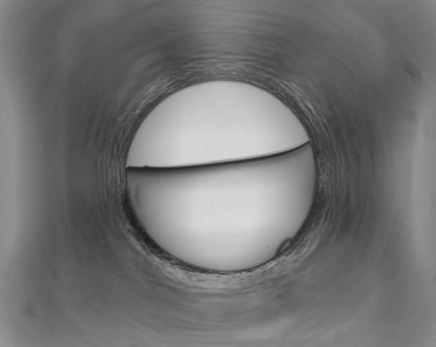 X0000113160044200909041002