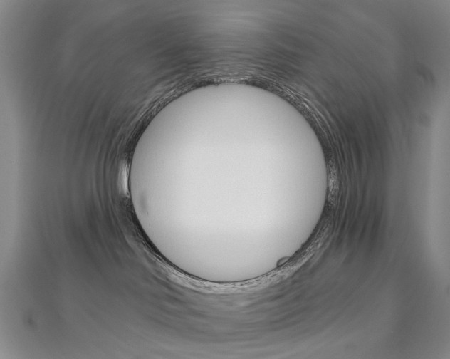 X0000113160046200909041002