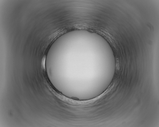 X0000113160047200909041002