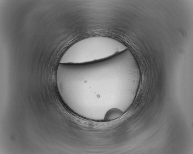 X0000113160048200909041002