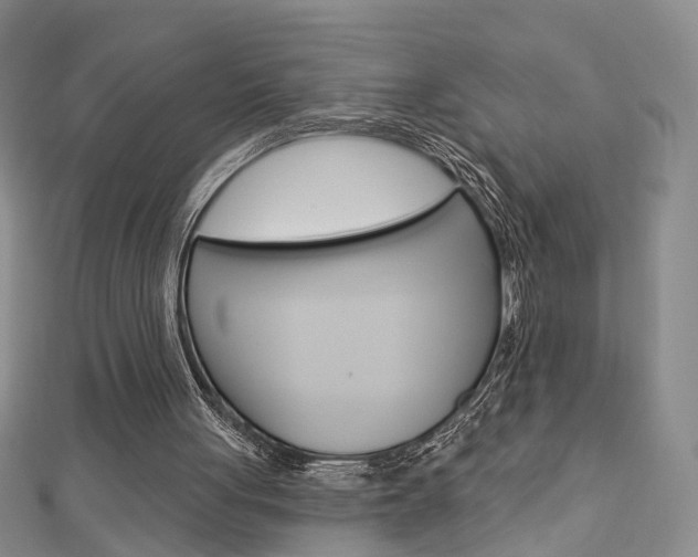 X0000113160051200909041001