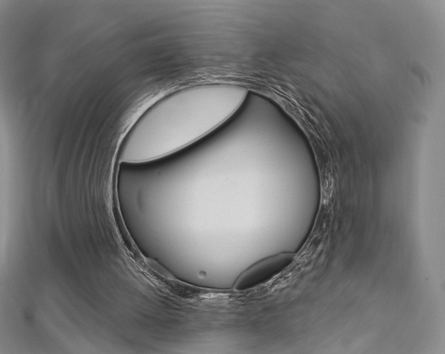 X0000113160052200909041001