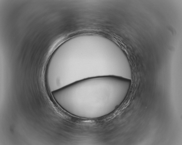X0000113160053200909041001