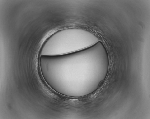 X0000113160054200909041001