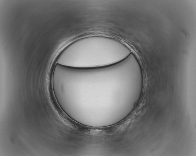 X0000113160055200909041001
