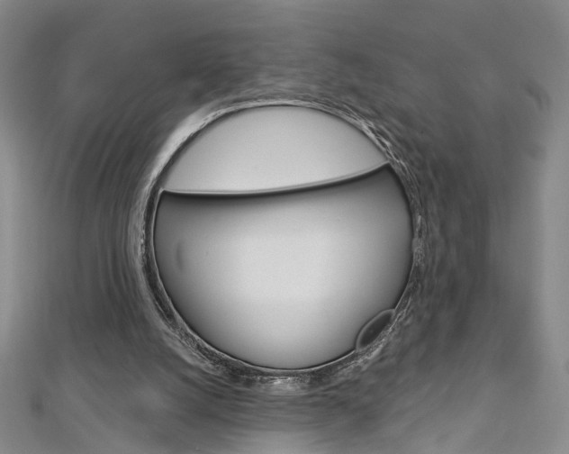 X0000113160056200909041001