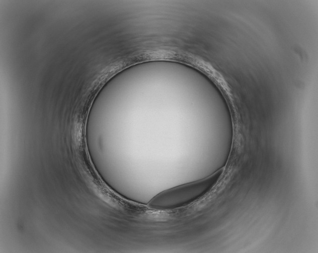 X0000113160057200909041001