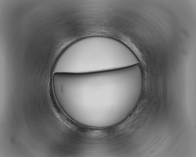 X0000113160058200909041001