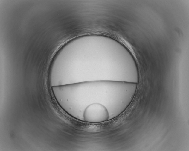 X0000113160059200909041001