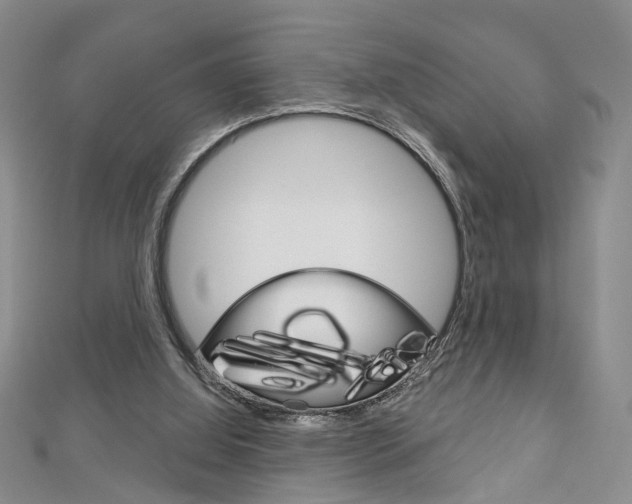 X0000113160060200909041001