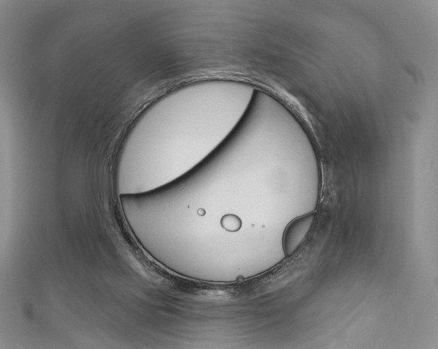 X0000113160061200909041001