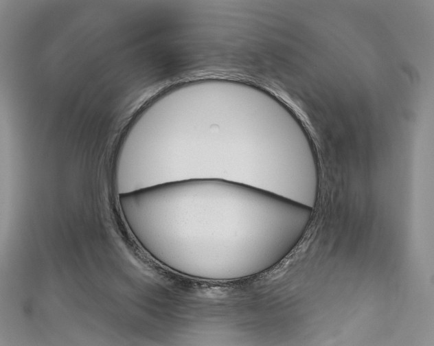 X0000113160062200909041001