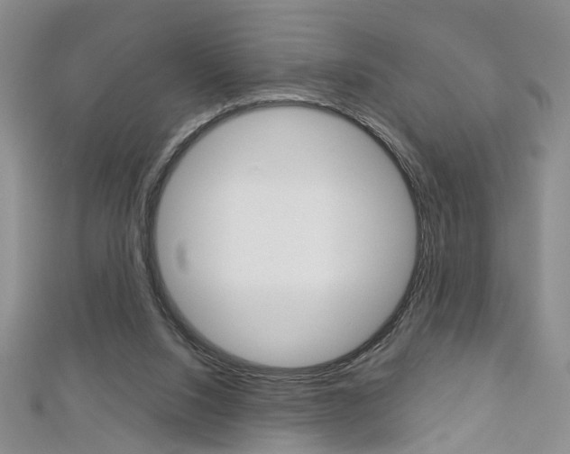 X0000113160064200909041001
