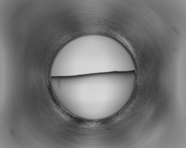 X0000113160065200909041001