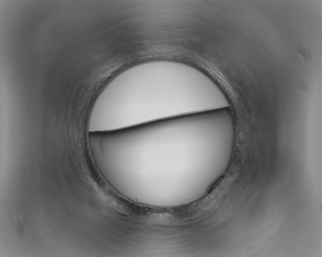 X0000113160066200909041001