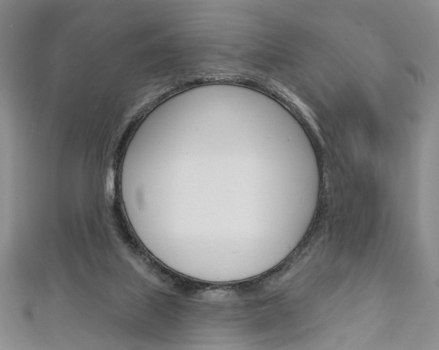 X0000113160067200909041001