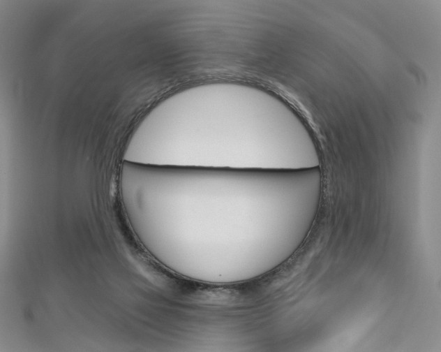 X0000113160069200909041001