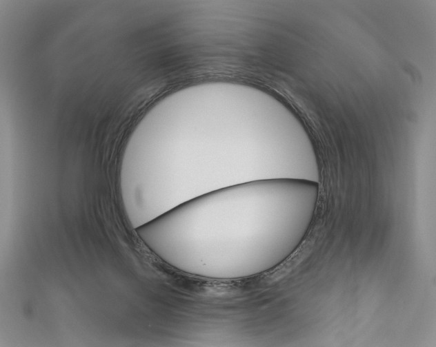 X0000113160070200909041001
