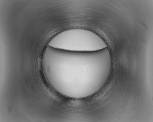X0000113160071200909041001
